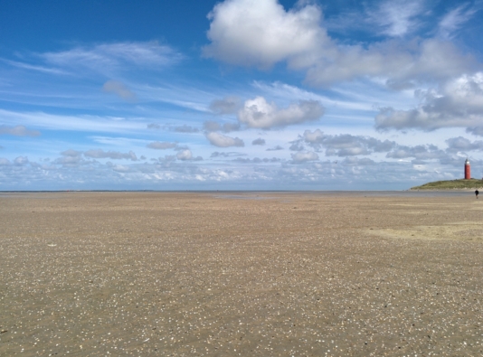 texel-1038572_1920